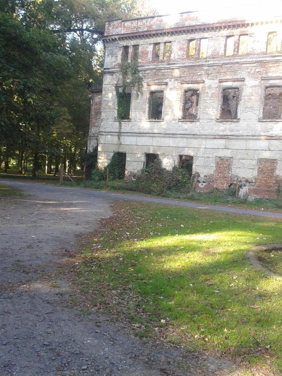 Gosciniec Sloneczny Hotell Drzonków Exteriör bild