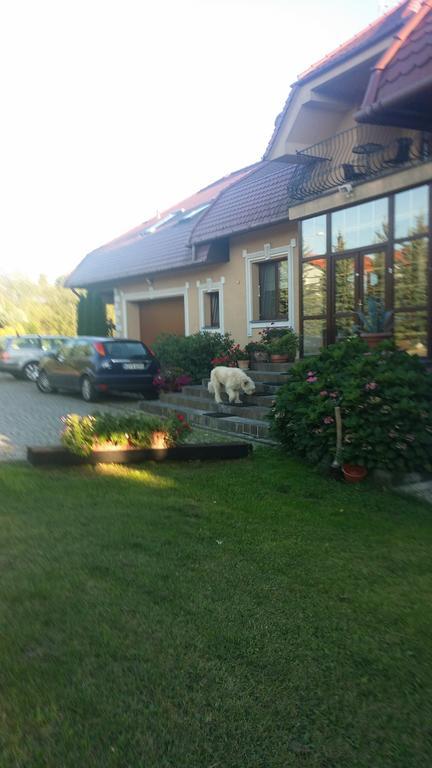 Gosciniec Sloneczny Hotell Drzonków Exteriör bild