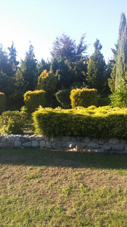 Gosciniec Sloneczny Hotell Drzonków Exteriör bild